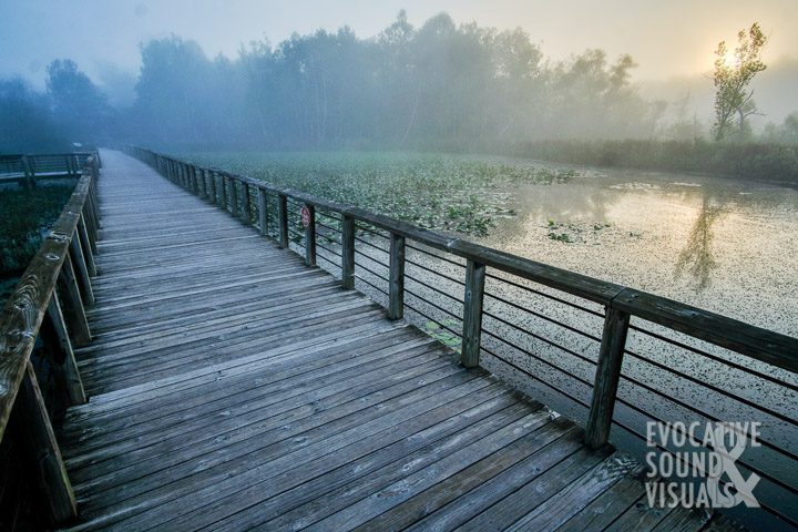 Beaver Marsh at sunrise in Cuyahoga Valley National Park on Sunday, September 19, 2021. Photo by Richard Alan Hannon