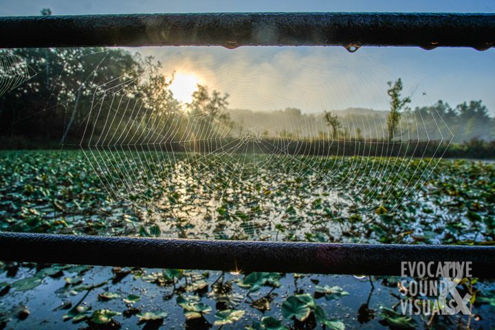 Beaver Marsh at sunrise in Cuyahoga Valley National Park on Sunday, September 19, 2021. Photo by Richard Alan Hannon