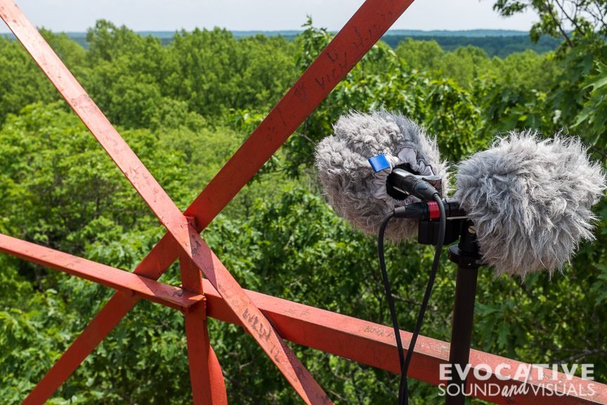 Recording the sound of Brood V periodical cicadas in treetops near the fire tower at Mohican State Park in Ohio, Thursday, June 2, 2016. Photo by Richard Alan Hannon