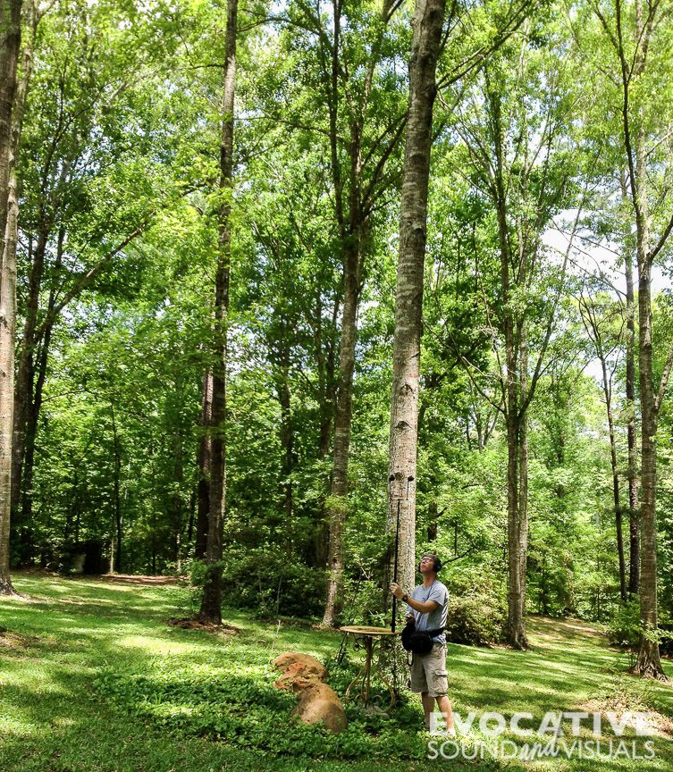 Field recordist Richard Alan Hannon capturing the droning sound of Brood XXII cicadas outside of St. Francisville, Louisiana on April, 17, 2014. Photo by Denise Porter