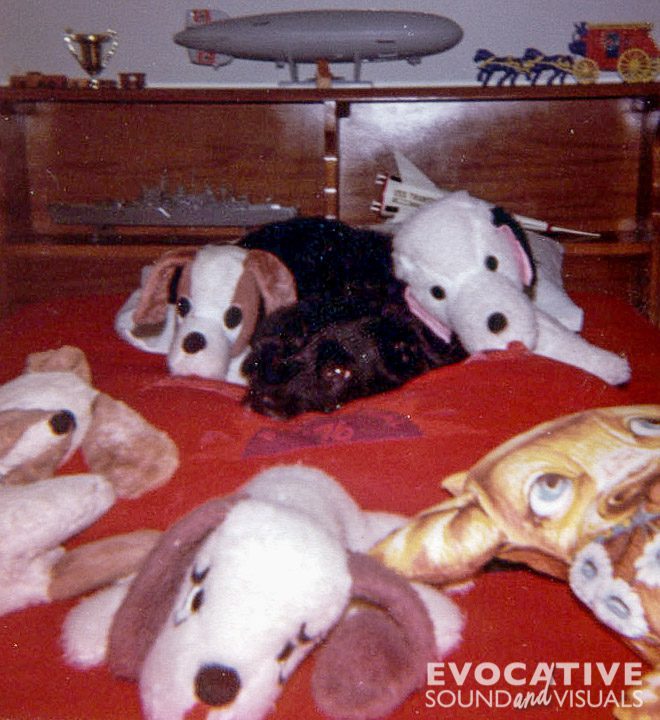 Our dog with stuffed animals and models from when I was young. Photo by Richard Alan Hannon